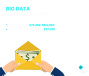 Big Data Analyst Salary