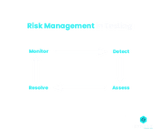 Risk Management in Testing