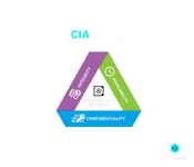 What is Information Security