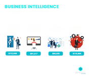 Business Intelligence career prospects