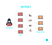 What is a botnet