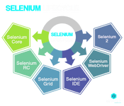 Selenium lifecycle