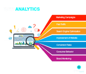 Web Analytics