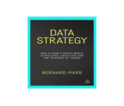 Data Strategy: How to Profit from a World of Big Data, Analytics and the Internet of Things