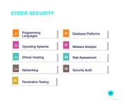 cyber security engineer skills