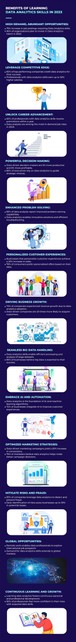 benefits of learning data analytics skills in 2023