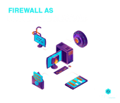 firewall as protective measure