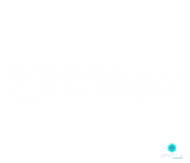 QlikView